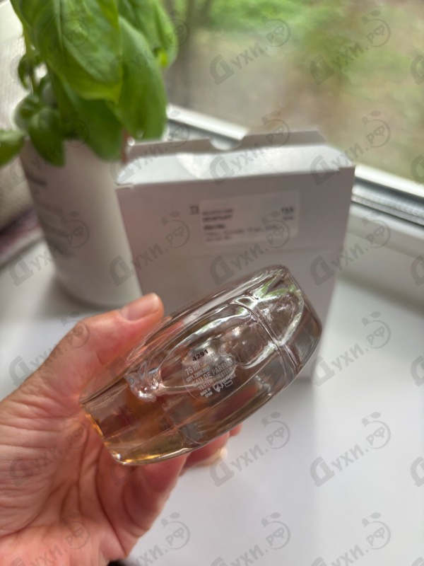 Купить Nomade от Chloe