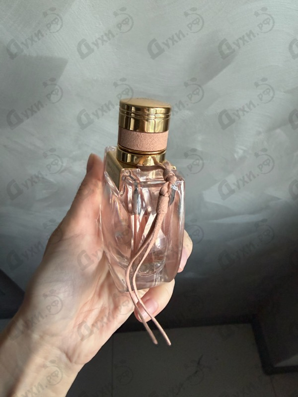 Купить Chloe Nomade