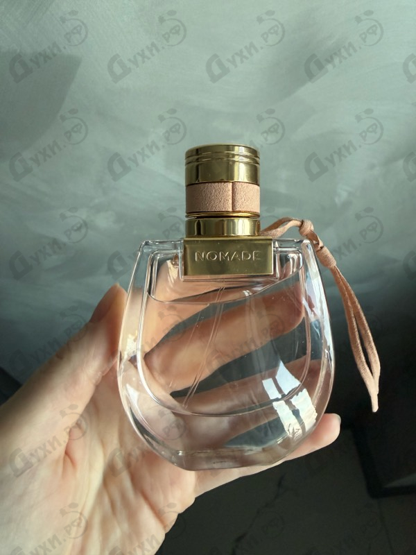 Отзывы Chloe Nomade