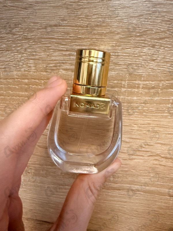 Отзыв Chloe Nomade