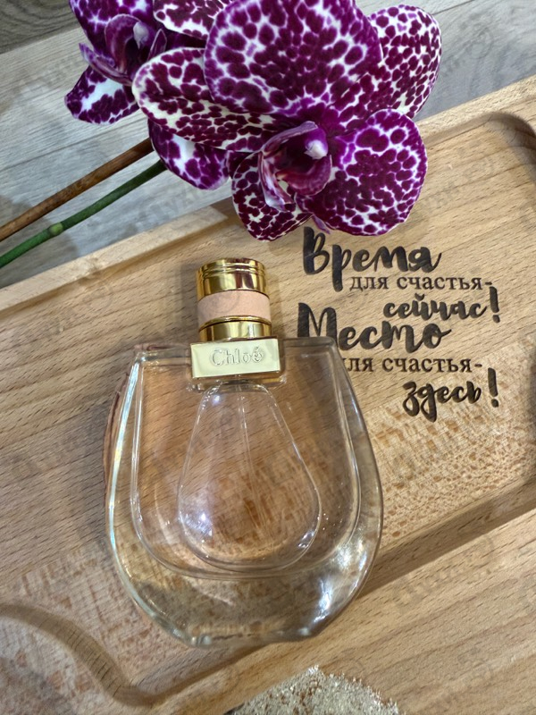 Купить Chloe Nomade