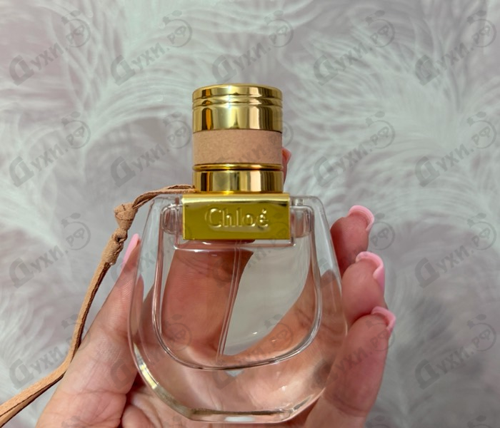 Купить Nomade от Chloe