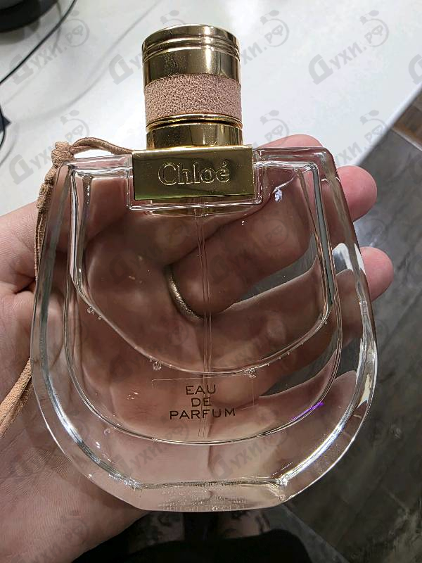 Отзывы Chloe Nomade