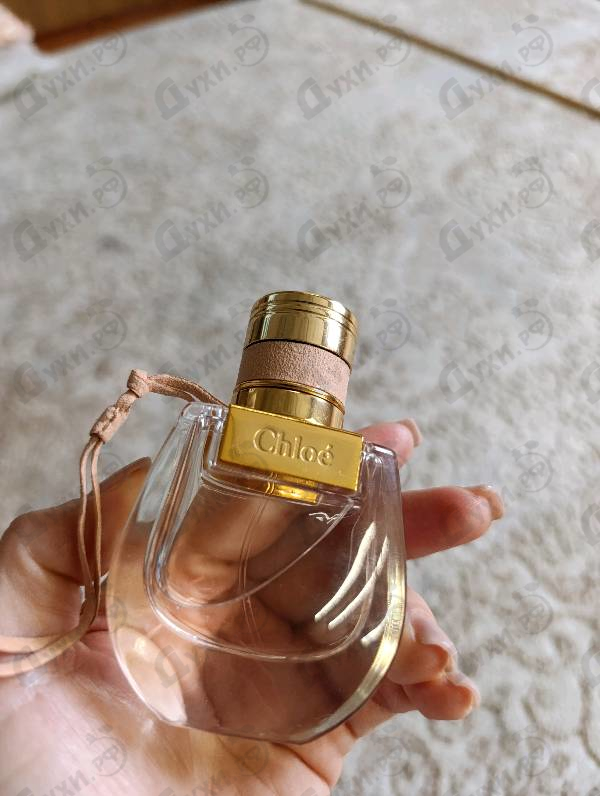 Купить Chloe Nomade