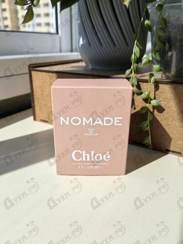 Купить Chloe Nomade