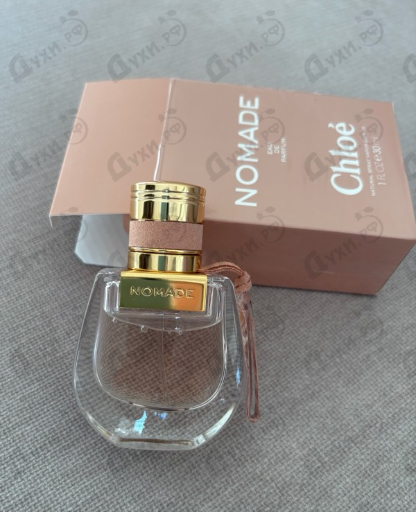 Купить Chloe Nomade