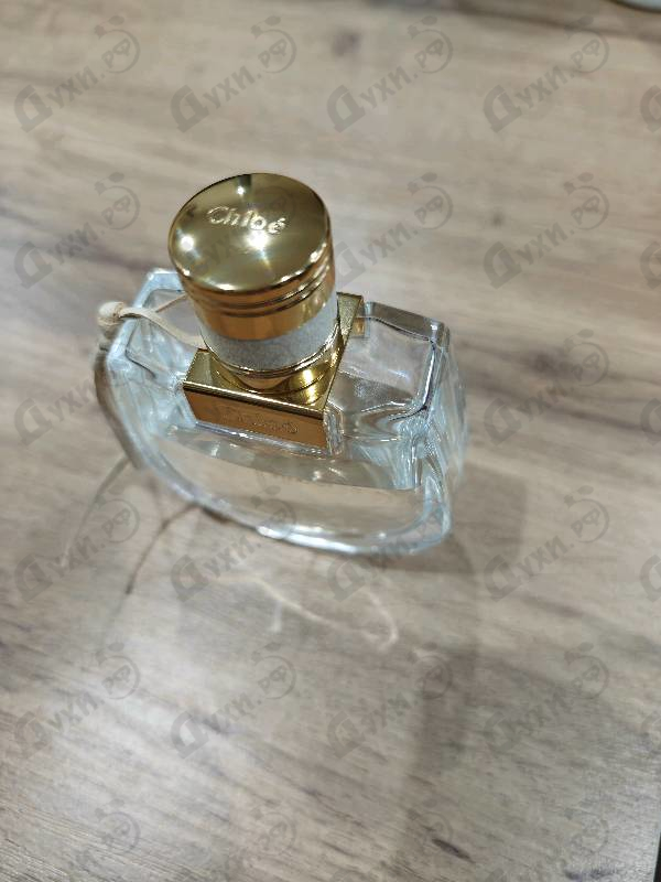 Купить Chloe Nomade
