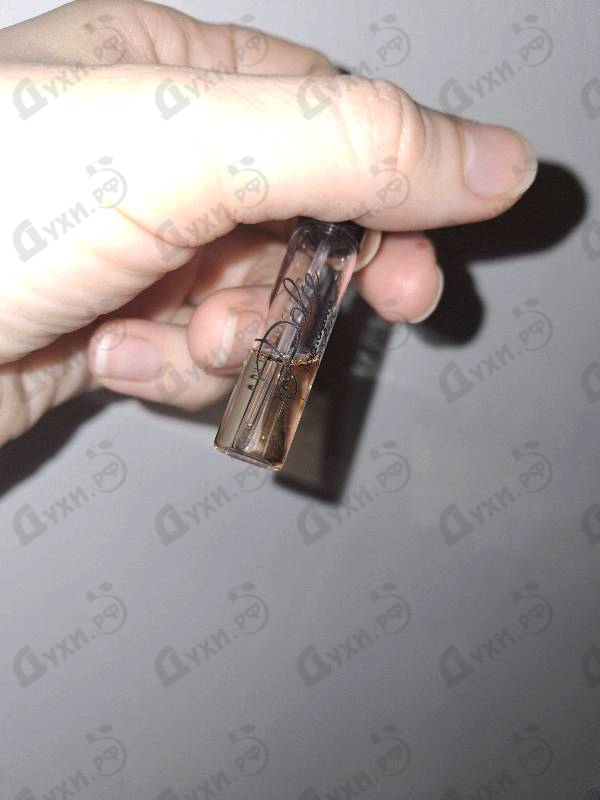 Купить Dolce Garden от Dolce & Gabbana