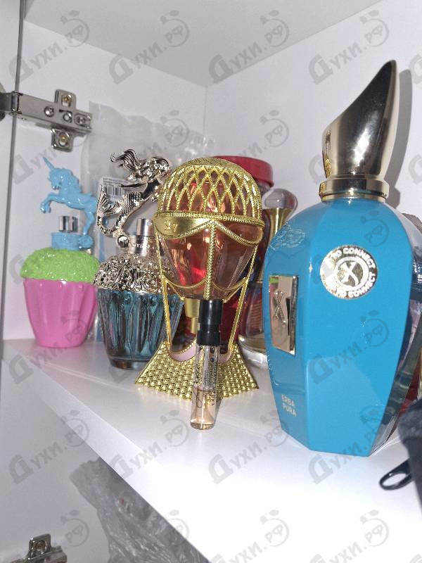 Парфюмерия Dolce & Gabbana Dolce Garden