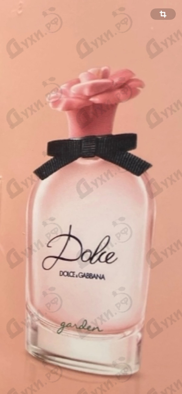 Парфюмерия Dolce Garden от Dolce & Gabbana