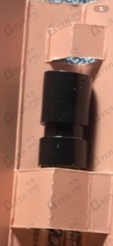 Купить Dolce & Gabbana Dolce Garden