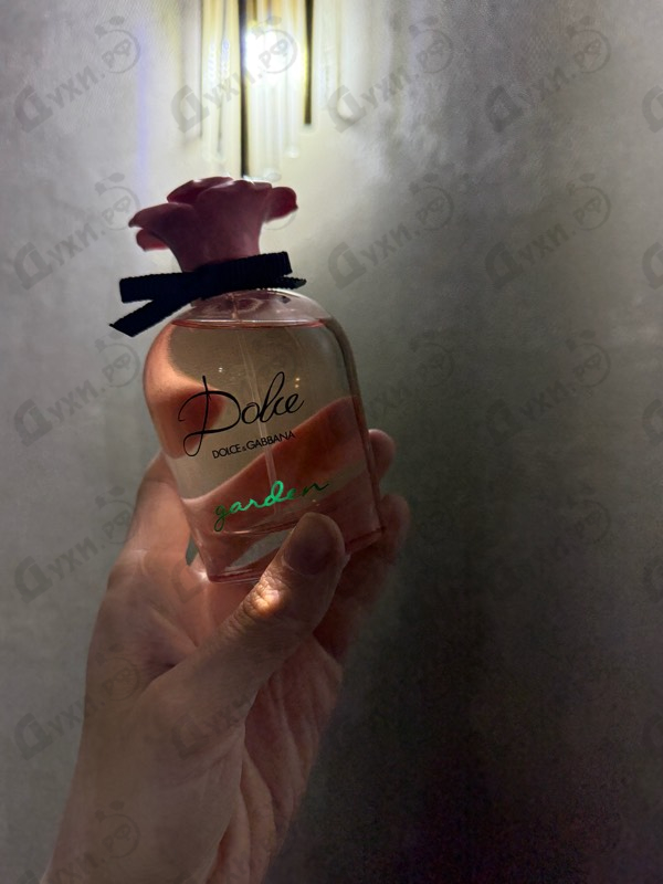 Купить Dolce & Gabbana Dolce Garden