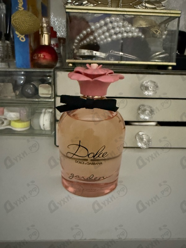 Купить Dolce & Gabbana Dolce Garden