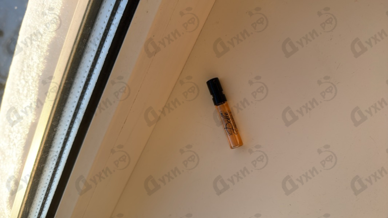 Купить Dolce & Gabbana Dolce Garden