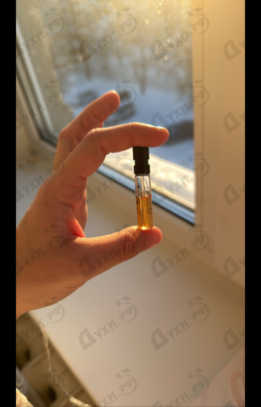 Купить Dolce Garden от Dolce & Gabbana