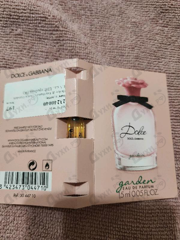 Купить Dolce & Gabbana Dolce Garden