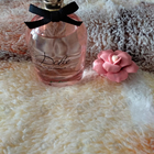 Духи Dolce Garden от Dolce & Gabbana