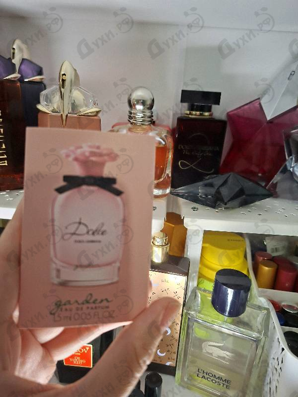 Парфюмерия Dolce Garden от Dolce & Gabbana