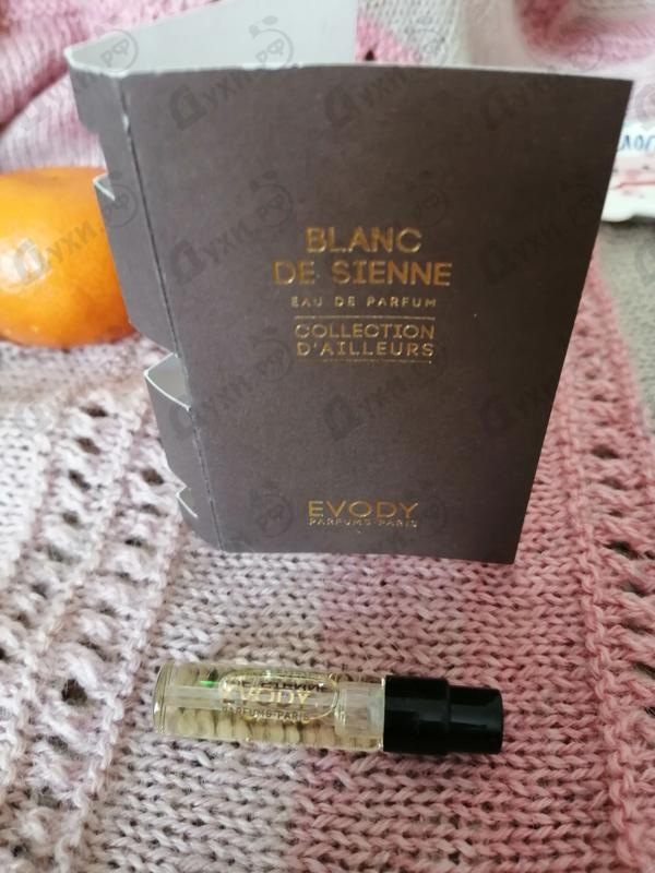 Купить Evody Parfums Blanc De Sienne