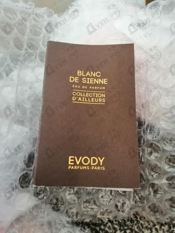 Духи Blanc De Sienne от Evody Parfums