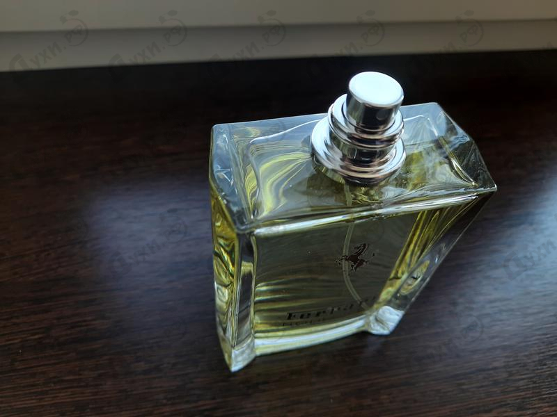 Купить Ferrari Noble Fig Парфюмерия Noble Fig от Ferrari