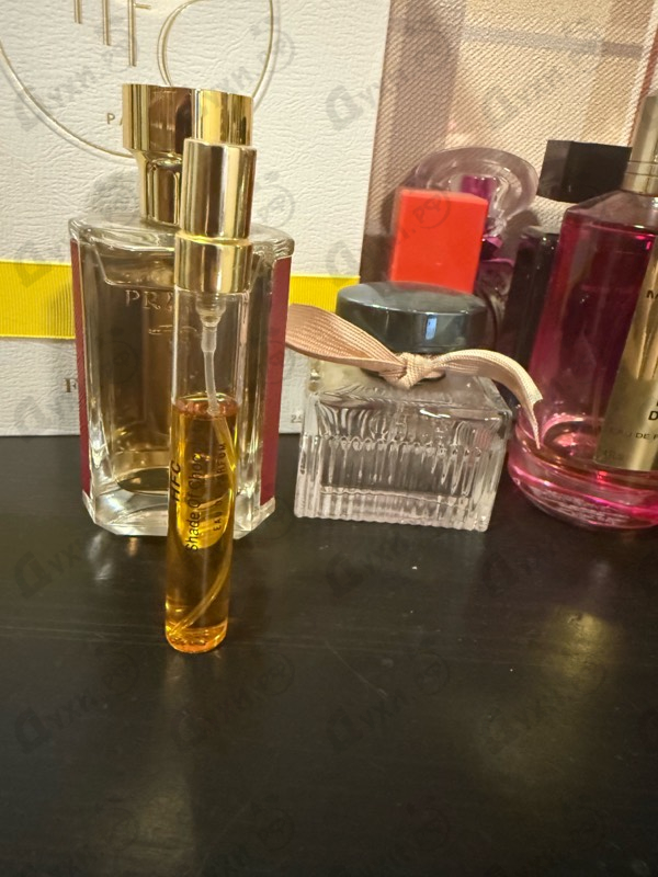 Парфюмерия Shade Of Chocolate от Haute Fragrance Company