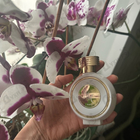 Отзыв Haute Fragrance Company Wear Love Everywhere