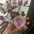 Отзыв Haute Fragrance Company Wear Love Everywhere