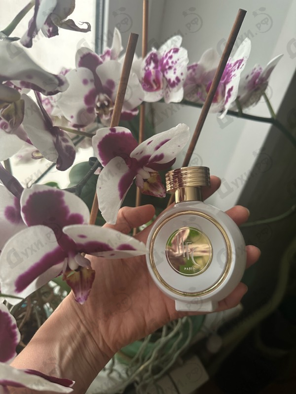 Купить Wear Love Everywhere от Haute Fragrance Company