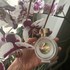 Купить Wear Love Everywhere от Haute Fragrance Company