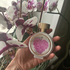 Духи Wear Love Everywhere от Haute Fragrance Company
