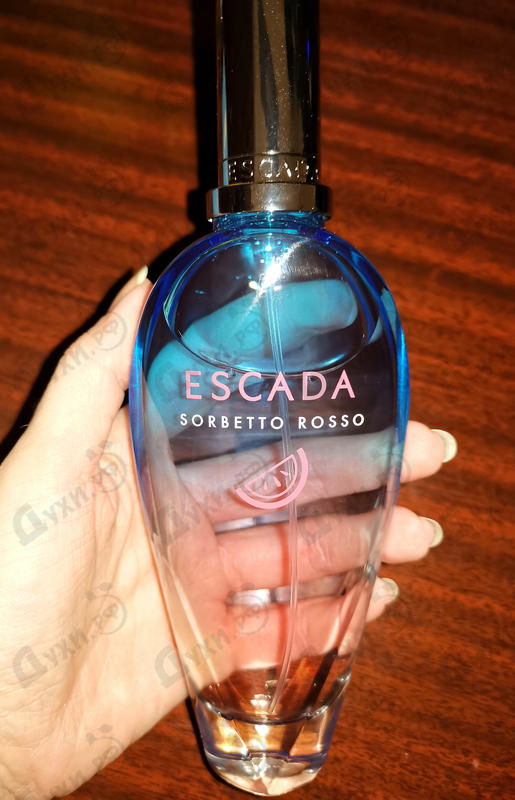 Купить Sorbetto Rosso от Escada