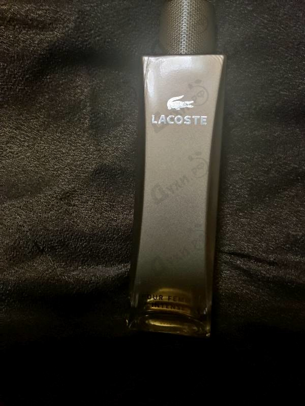 Купить Pour Femme Intense от Lacoste