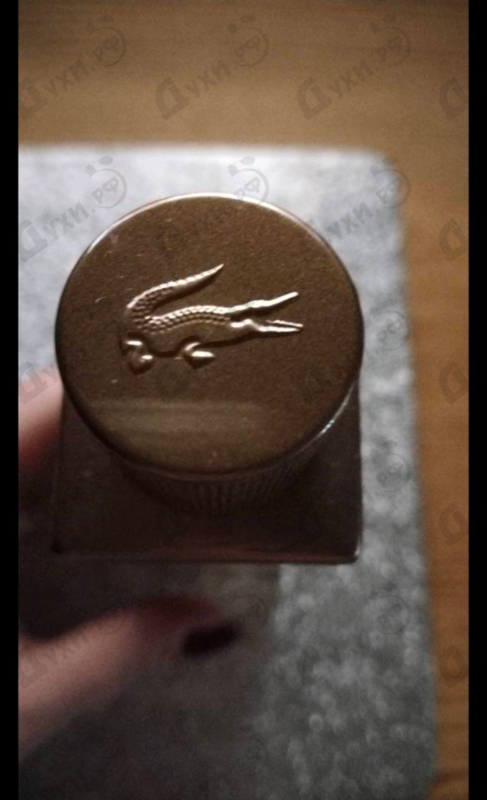 Парфюмерия Pour Femme Intense от Lacoste