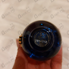 Отзывы Versace Dylan Blue