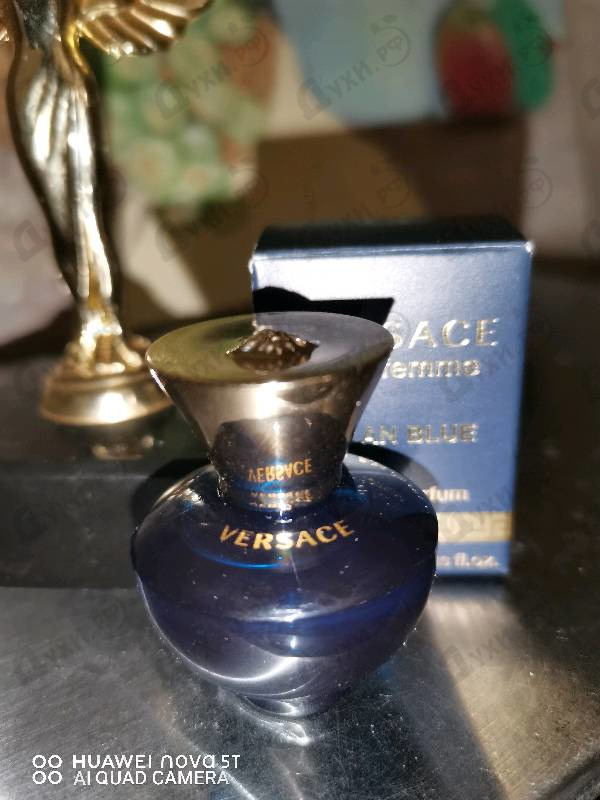 Купить Versace Dylan Blue