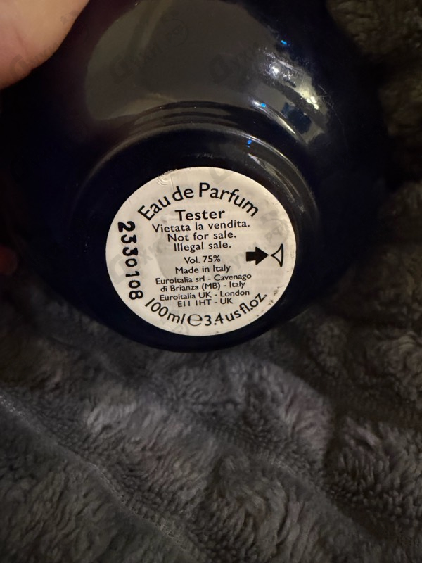 Купить Versace Dylan Blue