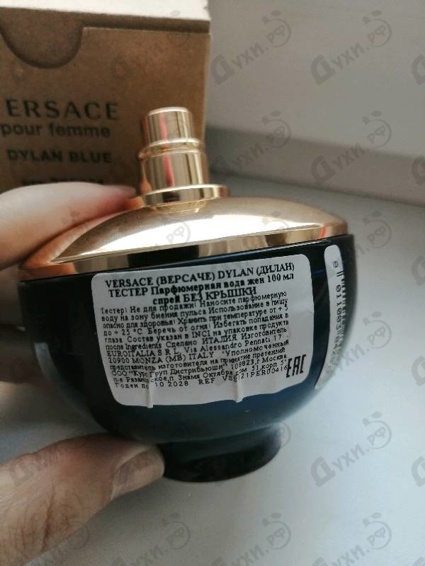 Купить Versace Dylan Blue