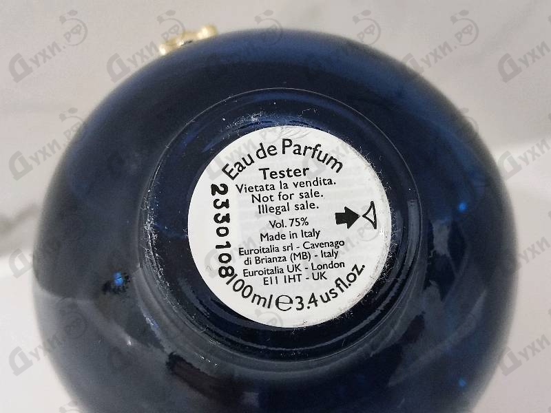 Отзыв Versace Dylan Blue