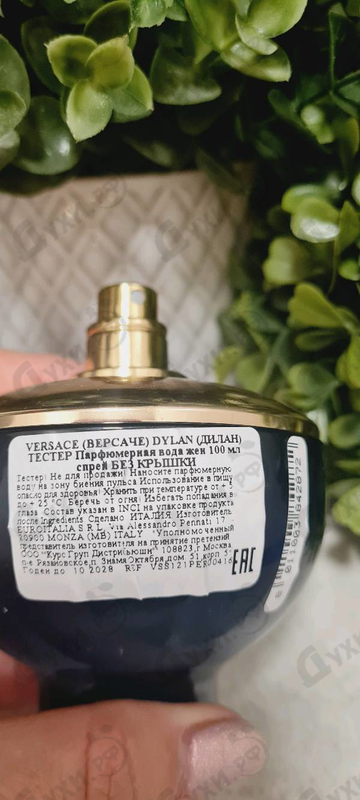 Купить Dylan Blue от Versace