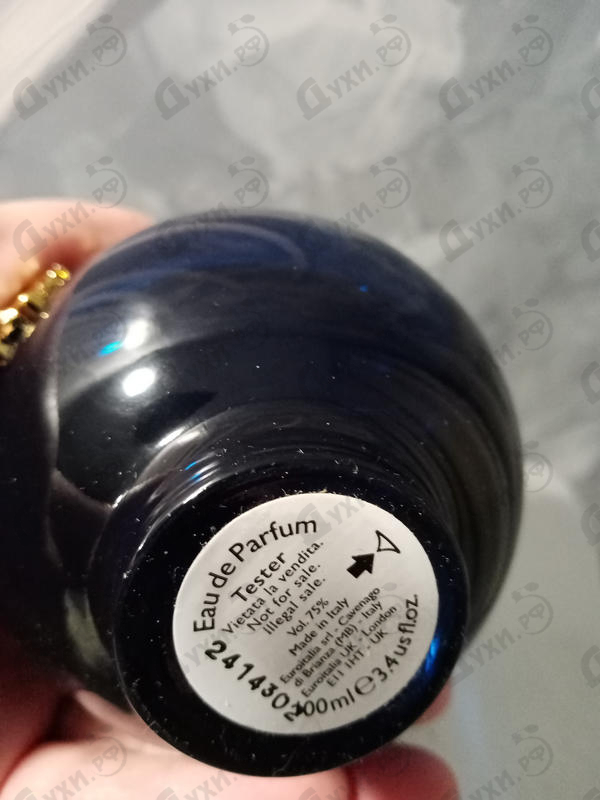 Купить Dylan Blue от Versace