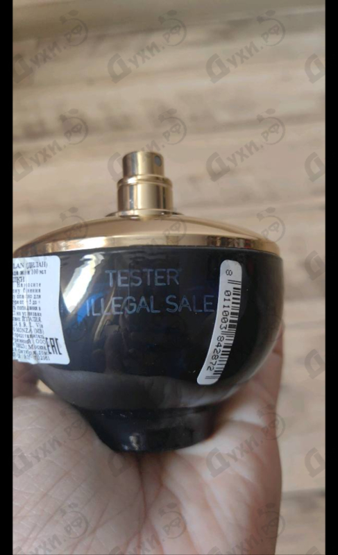 Купить Dylan Blue от Versace