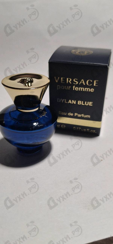 Парфюмерия Versace Dylan Blue