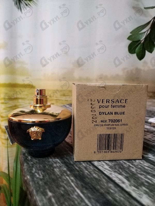 Отзывы Versace Dylan Blue