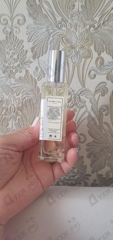 Отзывы Jo Malone English Oak & Redcurrant