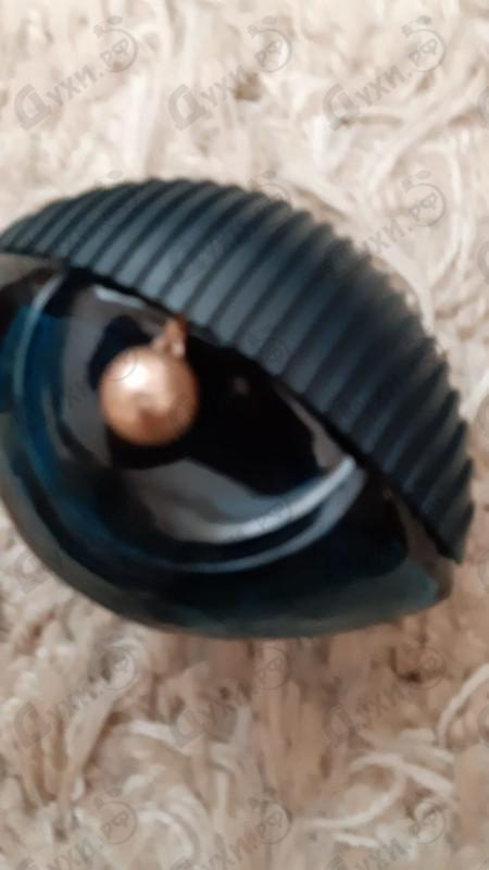 Купить World Intense от Kenzo Парфюмерия Kenzo World Intense