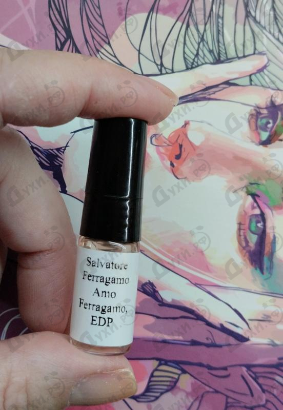 Купить Amo Ferragamo от Salvatore Ferragamo