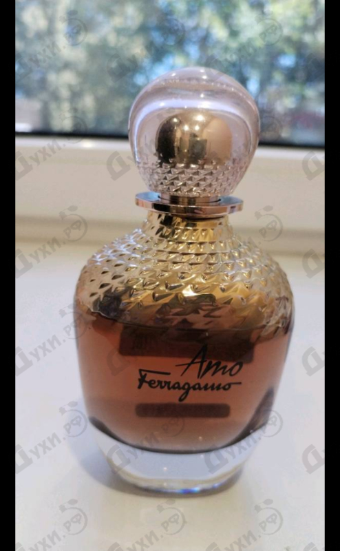 Купить Amo Ferragamo от Salvatore Ferragamo