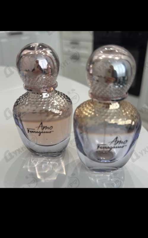 Отзыв Salvatore Ferragamo Amo Ferragamo