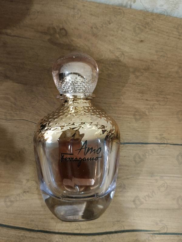 Отзыв Salvatore Ferragamo Amo Ferragamo